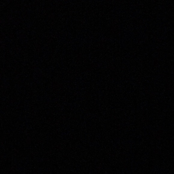 Meet your Posher, Maya - Picture 1 of 1